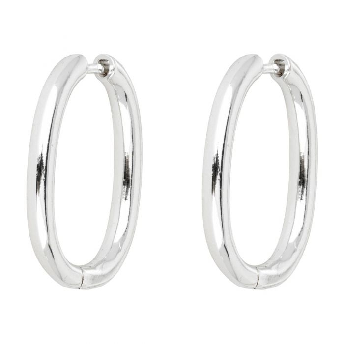 PREORDER Gaby Silver Hoop Earrings